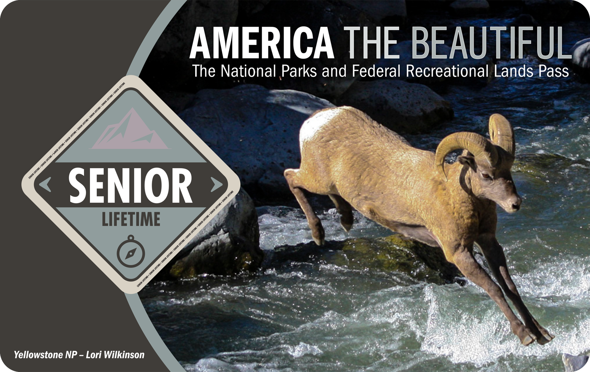 America the Beautiful - National Parks & Federal Recreational ...